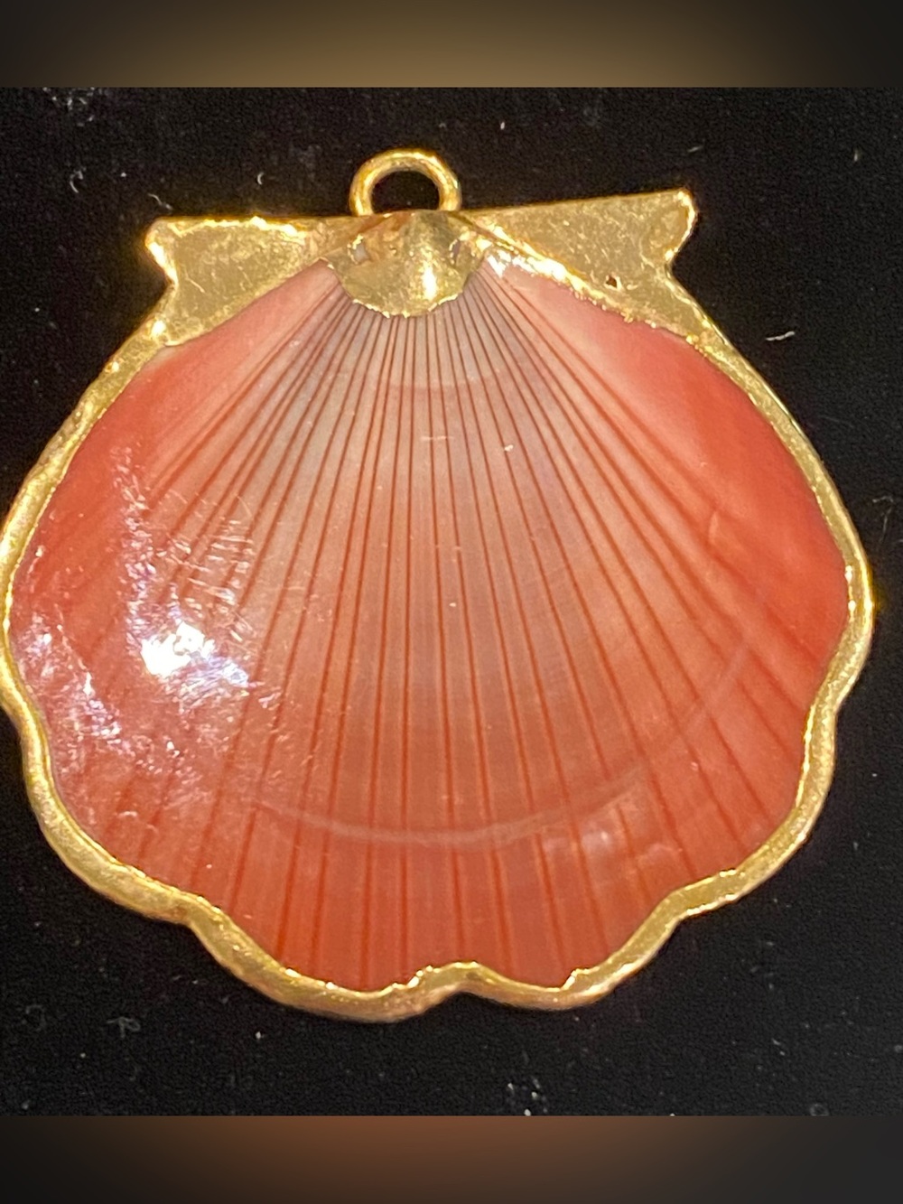 Vintage Reversible Real Sea Shell Pendant Gold Plated Trim Charm Coastal Grandma